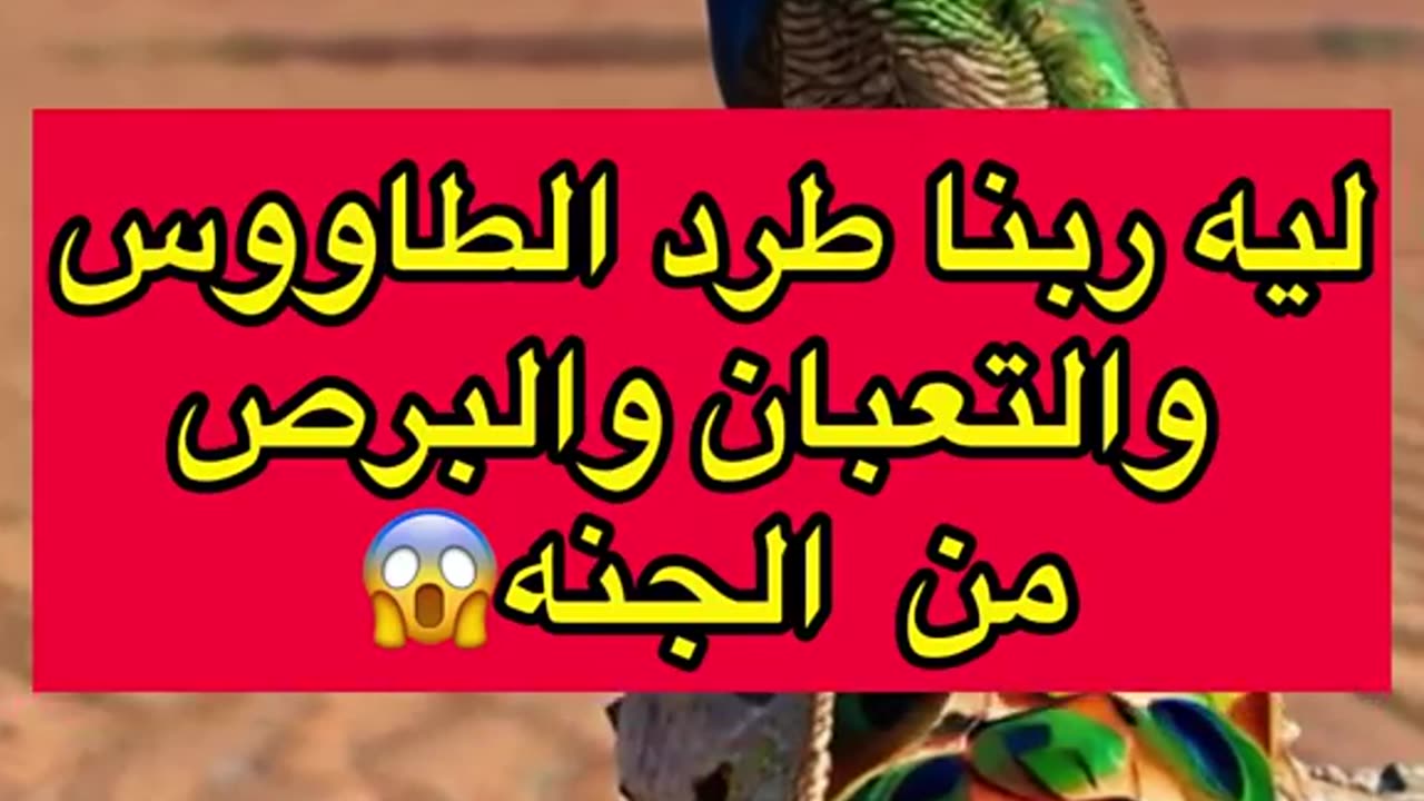 حيوانات ممنوعه من دخول الجنه😱