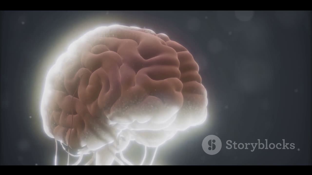 Unraveling the Mysteries of the human brain with new scientific discovery on