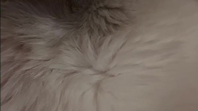 Sound sleep