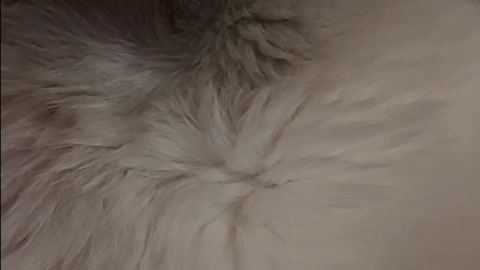Sound sleep