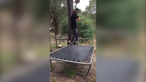 Funny Falls and Slips 2020 - Epic Fails Compilation - Trampoline Fails Compilation Funny Vines