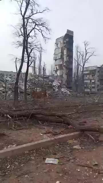 Авдеевка 23.02.2024