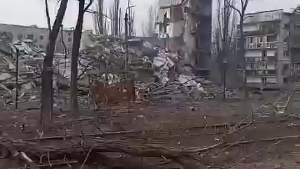 Авдеевка 23.02.2024