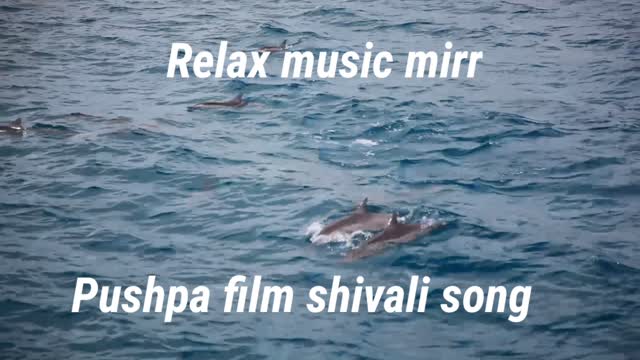 Pushpa movie song shivalli