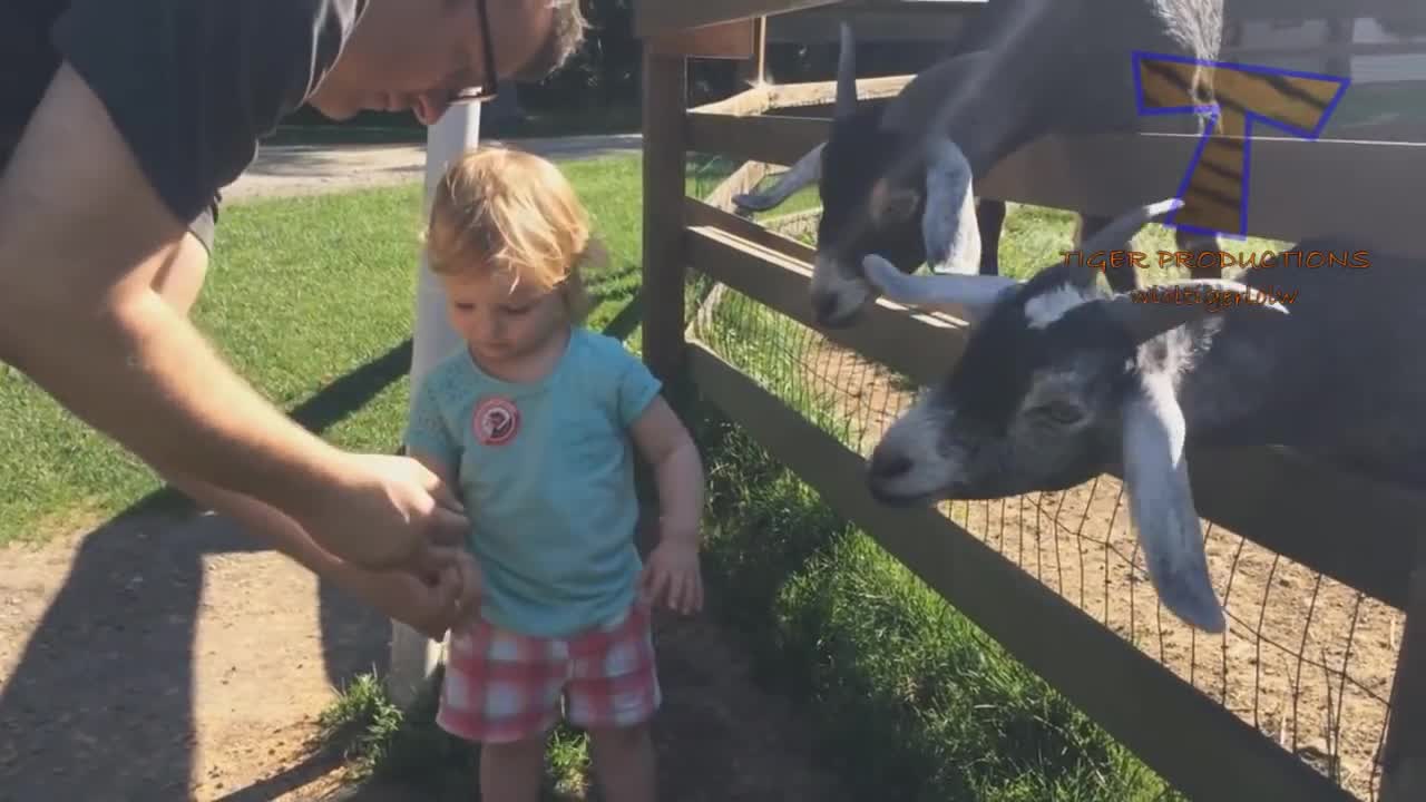 Gotta love GOATS!
