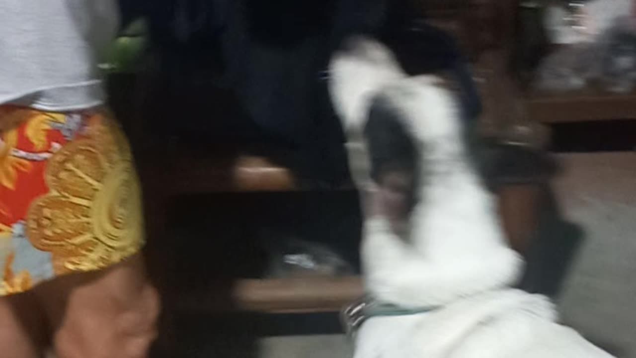 Attitude 101 Favorite Sinigang Aspin dog style
