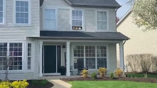 The best neighborhood watch crew around! 👀😂