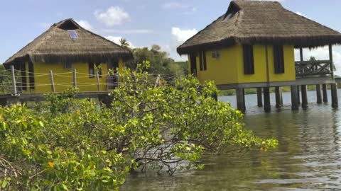 Ilha Baía de Todos os Santos - Brazil