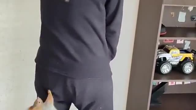 Animal and man funny