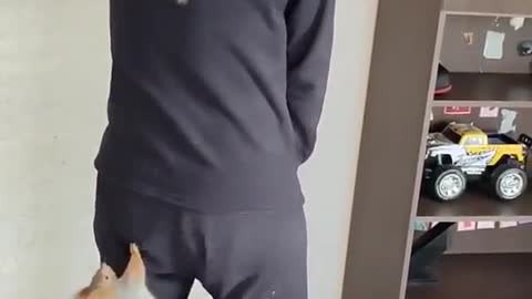 Animal and man funny