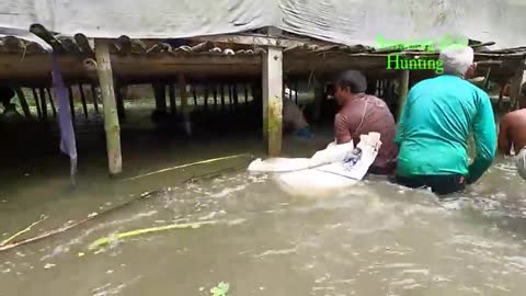 Awesome traditional videos