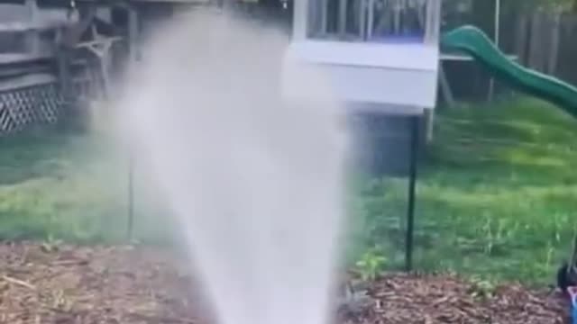 You_laugh,_You_lose_😂_Funniest_Animals_😂_Part_22
