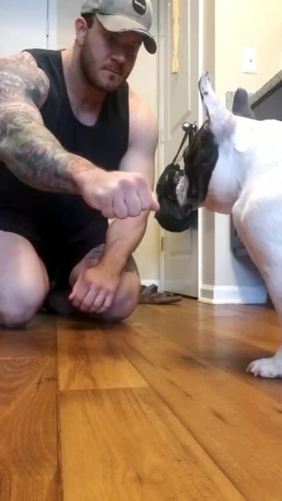 Dog surprised by magic trick