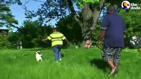 They Tried Everything To Get His Head Out Of This Tire