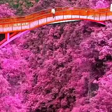 Very beautiful.. China