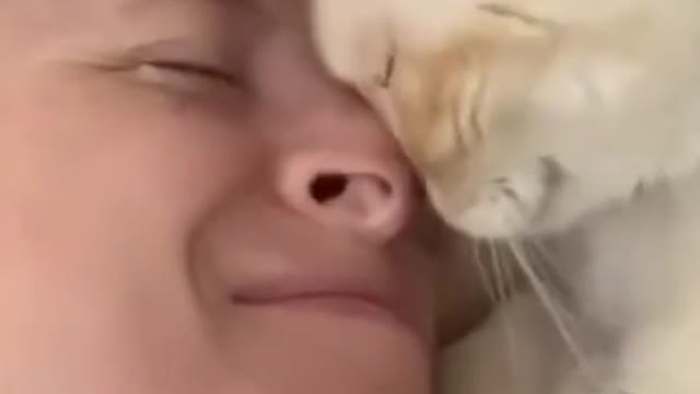Funny Animal Videos that Make Me Burstnto Tears Laughing (CUTE) #shorts