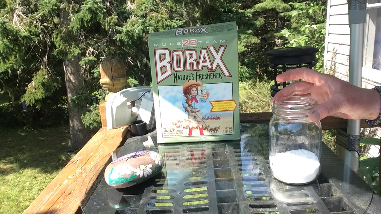 Borax can be used for many things!