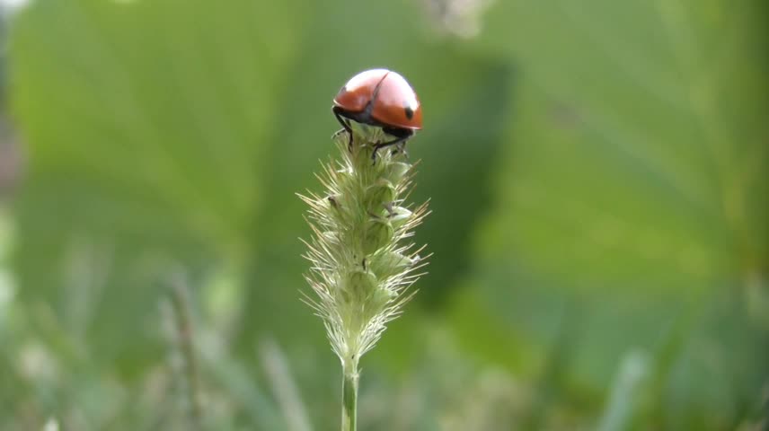 The seeds germinated. We both jumped and danced happily.