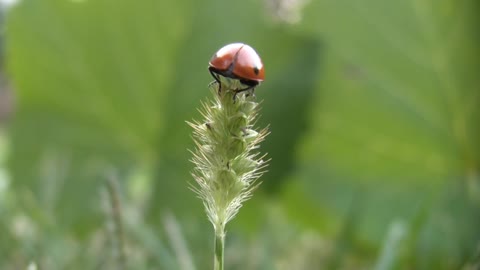 The seeds germinated. We both jumped and danced happily.