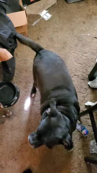 “He Got That Area” (September 2021)