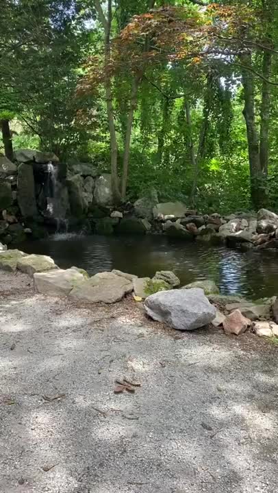 Somewhere in Lendonwood Gardens