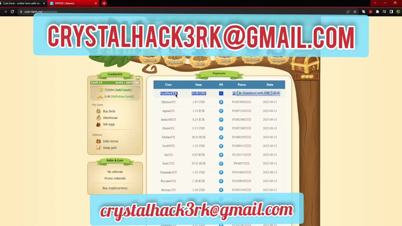 Not enough Crystal to order Payoff | HackMe v12 | coin farm | golden farm | coin birds golden birds
