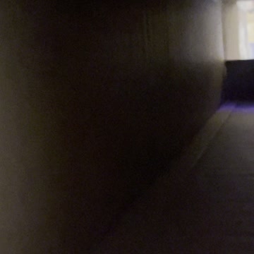 Hilarious cat Dexter with his new toy box tunnel