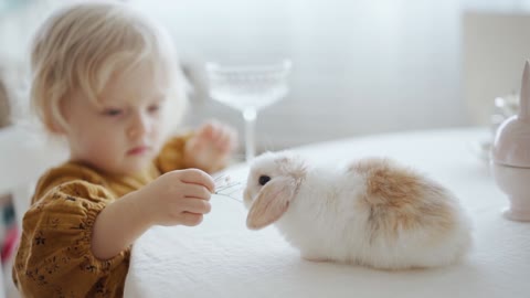 cute baby playing with cat first time