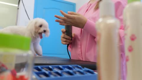 Happy People Working In Pet Store With Dog