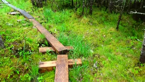 Bog Bridge