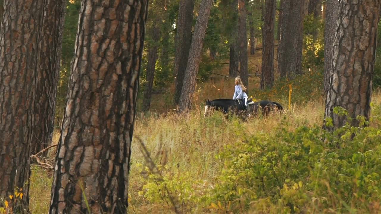 girl riding a horse walking in the woods