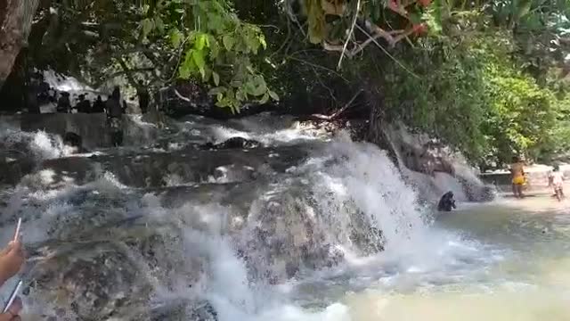 Apart of duns River Jamaica