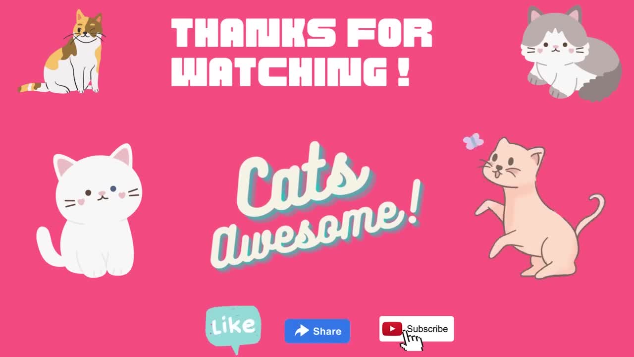 Worlds funnies animal video