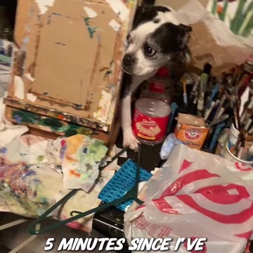 Dog artist