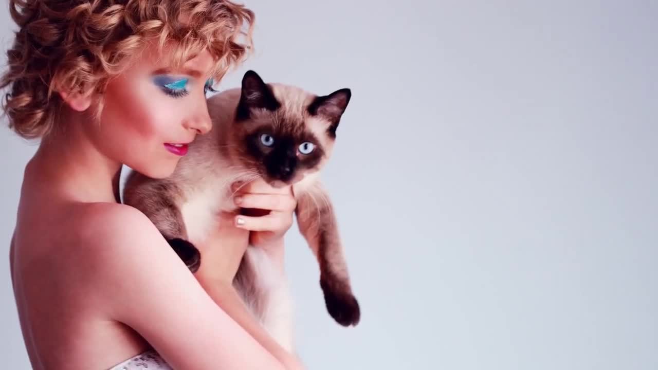 WORLD'S TOP 10 MOST LOYAL CAT BREEDS!