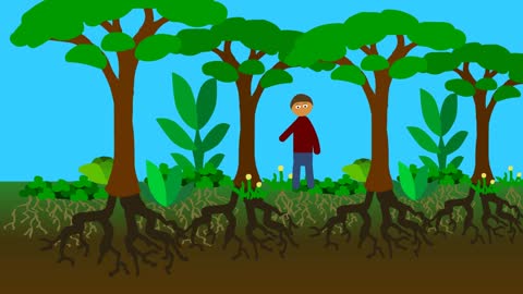 What is Regenerative Agriculture?
