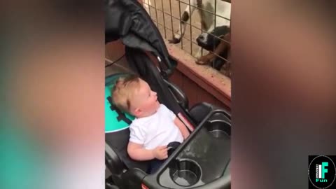 Best funny video | Best baby compilation | Cute baby animals | Cute baby