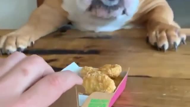 Anyone for a McBulldog