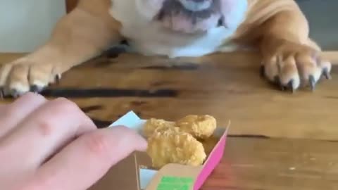 Anyone for a McBulldog