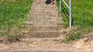 Handstand Down the Stairs