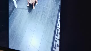 Who's that?!