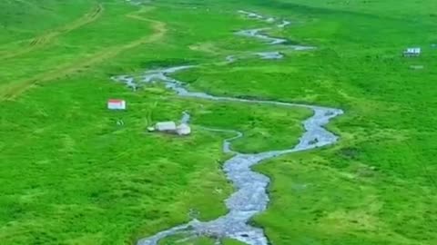 Heal the landscape