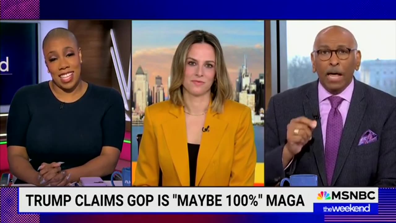 Former RNC Chair Has A Meltdown Over Trump's Influence On The GOP On MSNBC