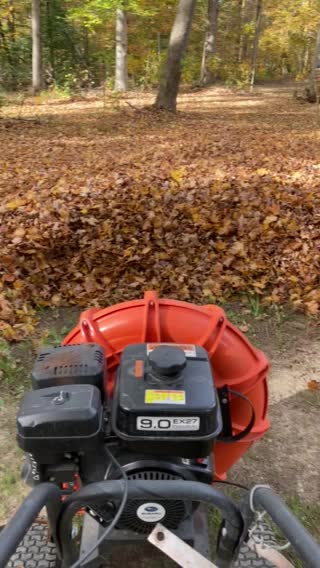 Fall leaves with Billy Goat blower