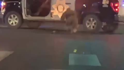 Slippery Bastard