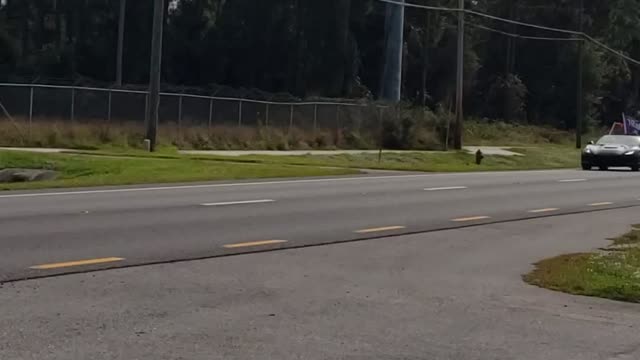 Stop the Steal Parade for President Trump in Oakhill, Edgewater & New Smyrna Beach, FL