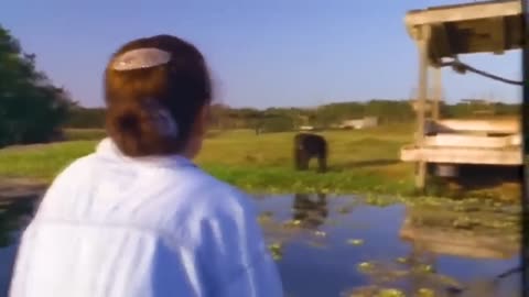 After years of separation Animals reunite with owners..