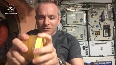 Honey In Space