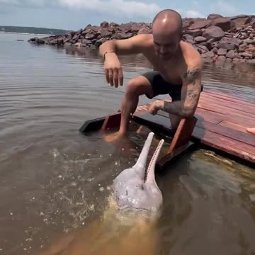 What a moment 🐬❤️