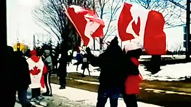 AMBASSADOR BRIDGE HOMELAND SECURITY FREEDOM TRUCKERS